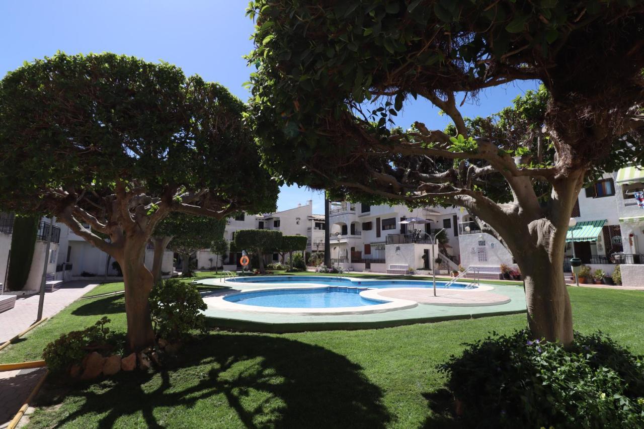 Oleza Sun Playa Flamenca Leilighet Eksteriør bilde